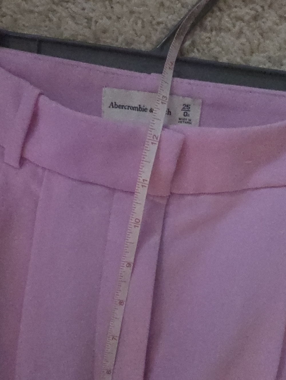 Abercrombie & Fitch Sloane Tailored Wide-Leg Pants - Picture 6 of 7